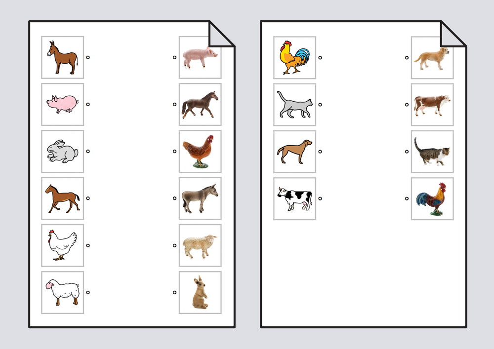 Relacionar animales domésticos: pictogramas-fotografías