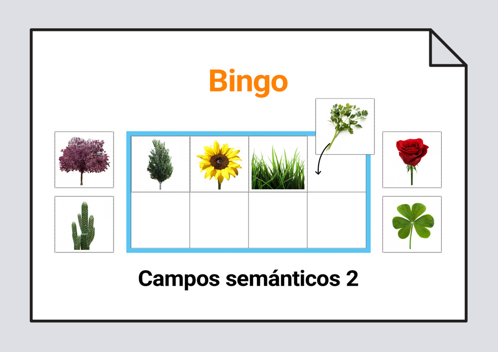 Bingo campos semánticos