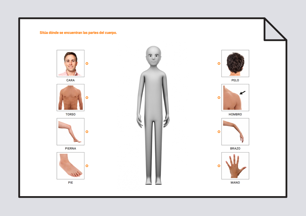 El cuerpo humano