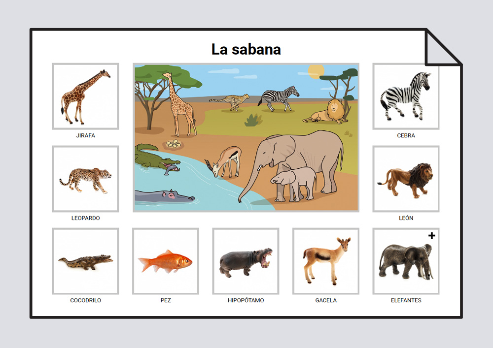sabio Festival Atlas Vocabulario animales - Hábitats naturales: Vocabulario #Soyvisual
