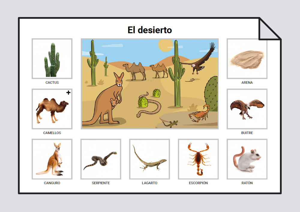 Animales del desierto