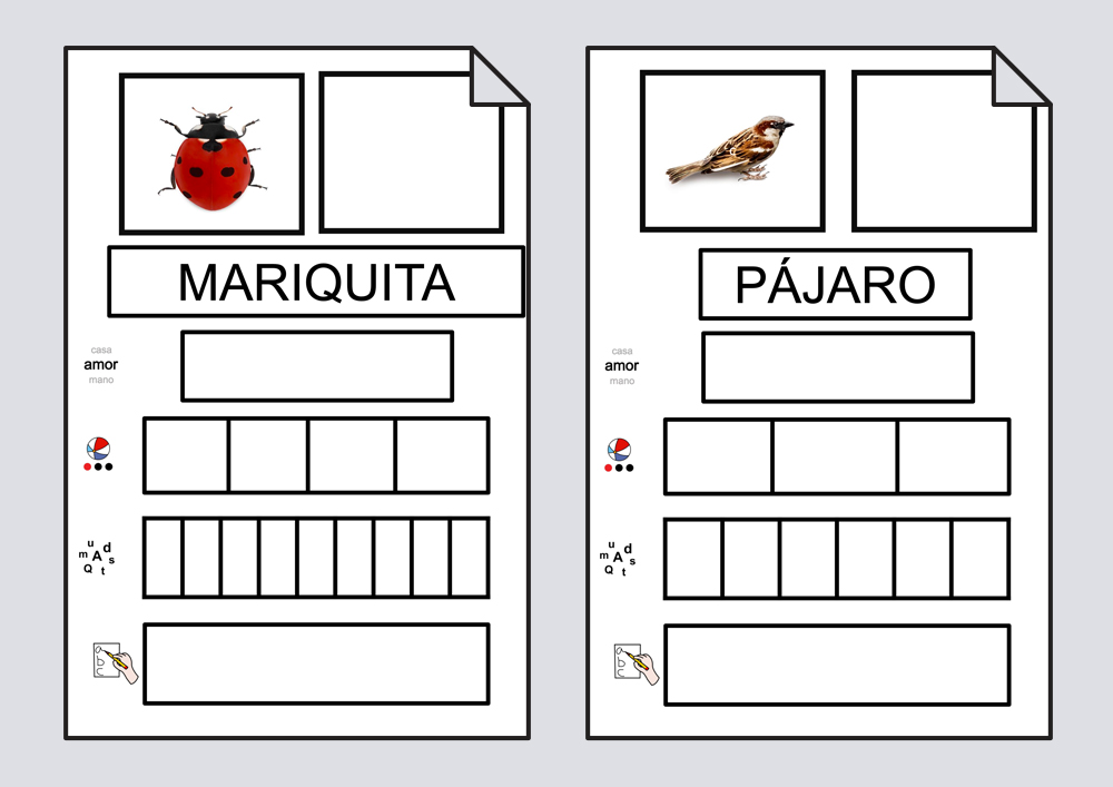 La primavera. Libro de lectura global