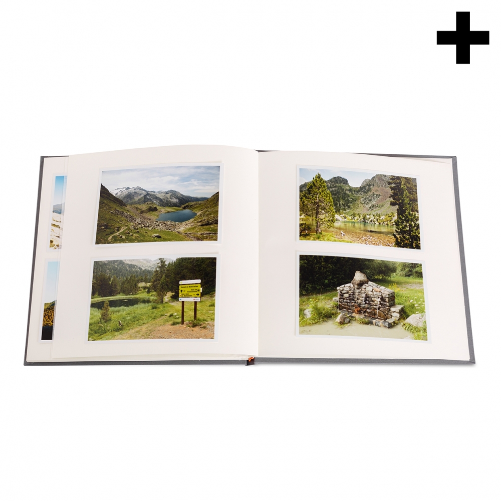 Imagen en la que se ve el plural del concepto álbum fotográfico