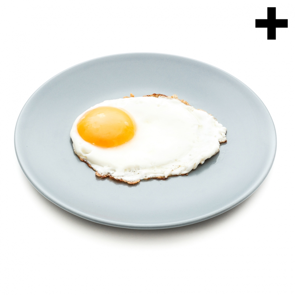 Imagen en la que se ve un plato con un huevo frito cocinado sobre él
