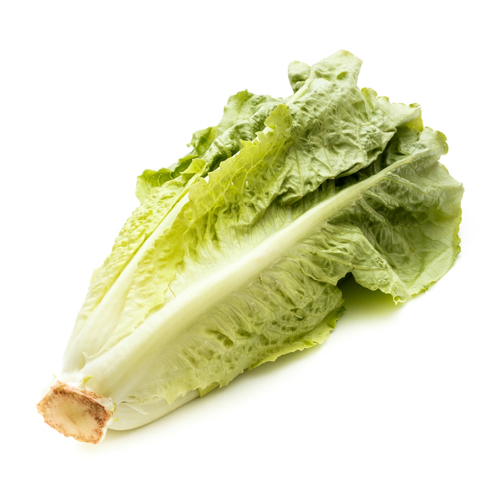 Imagen en la que se ve un cogollo de lechuga tumbado