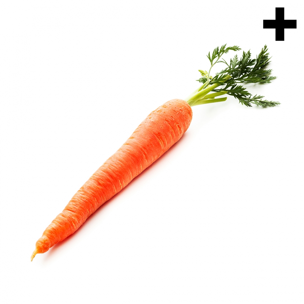 Imagen en la que se ve una zanahoria entera con las hojas verdes en la parte superior