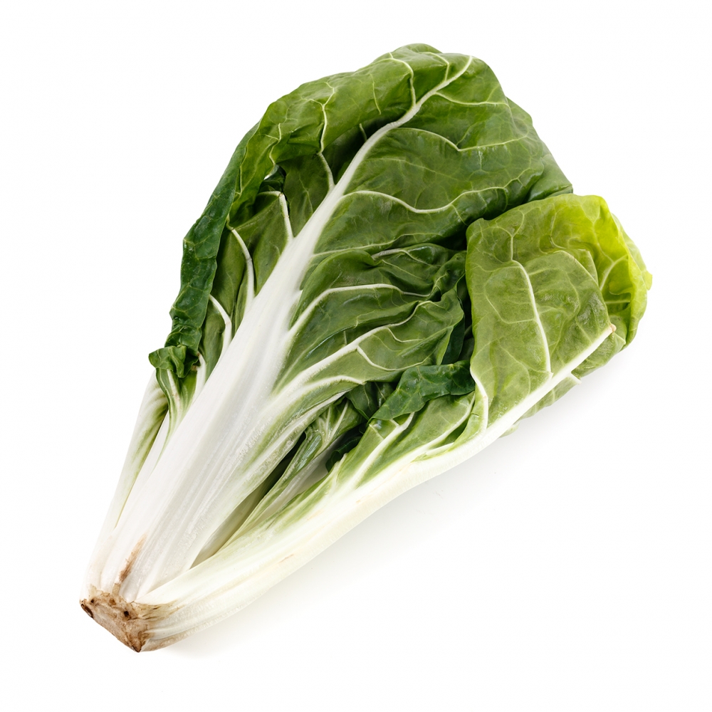 Imagen en la que se ve una acelga