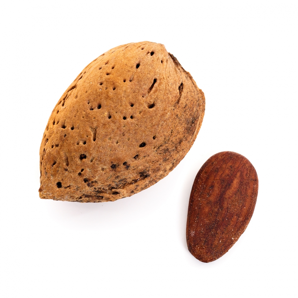 Imagen en la que se ve una almendra