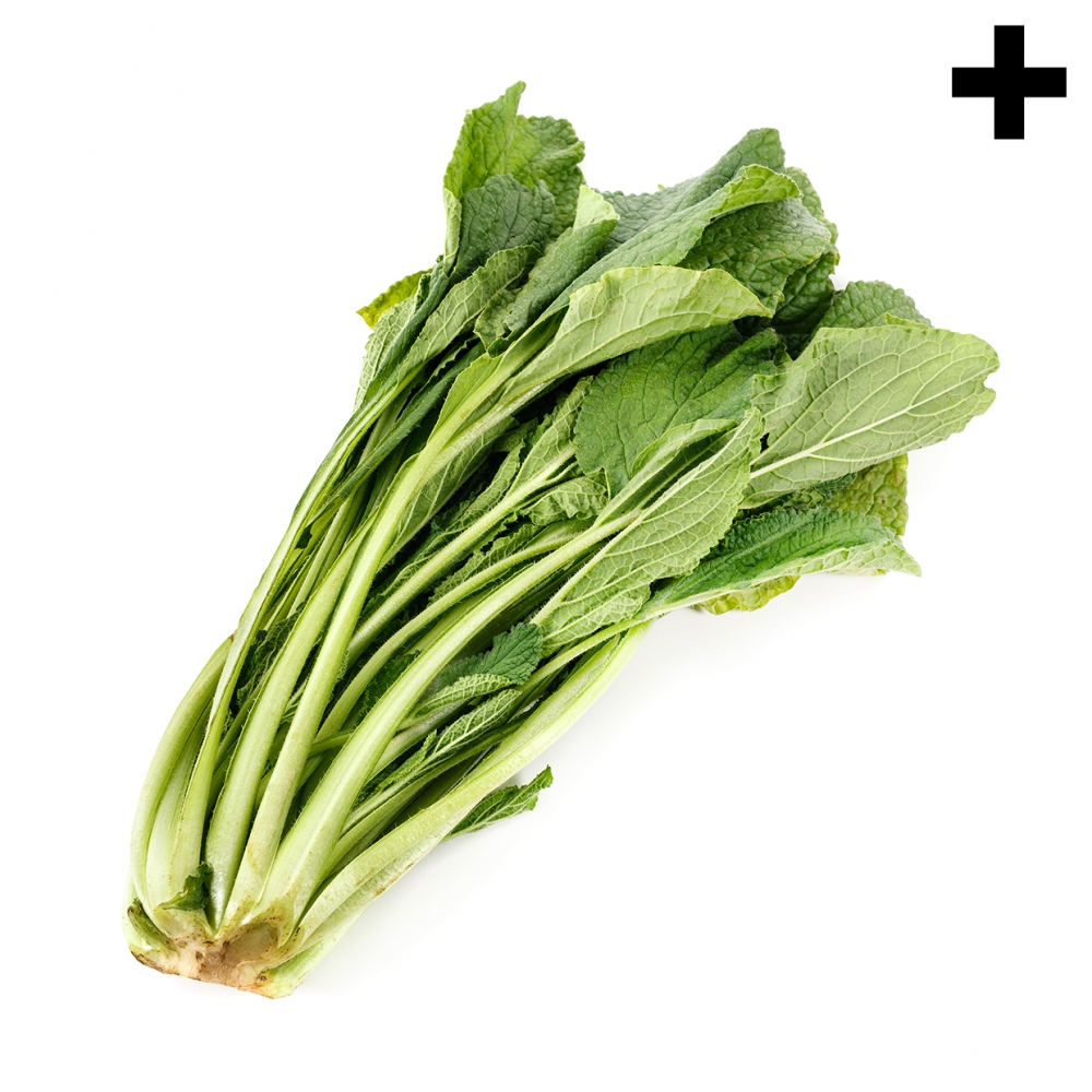 Imagen en la que se ve el plural del concepto borraja