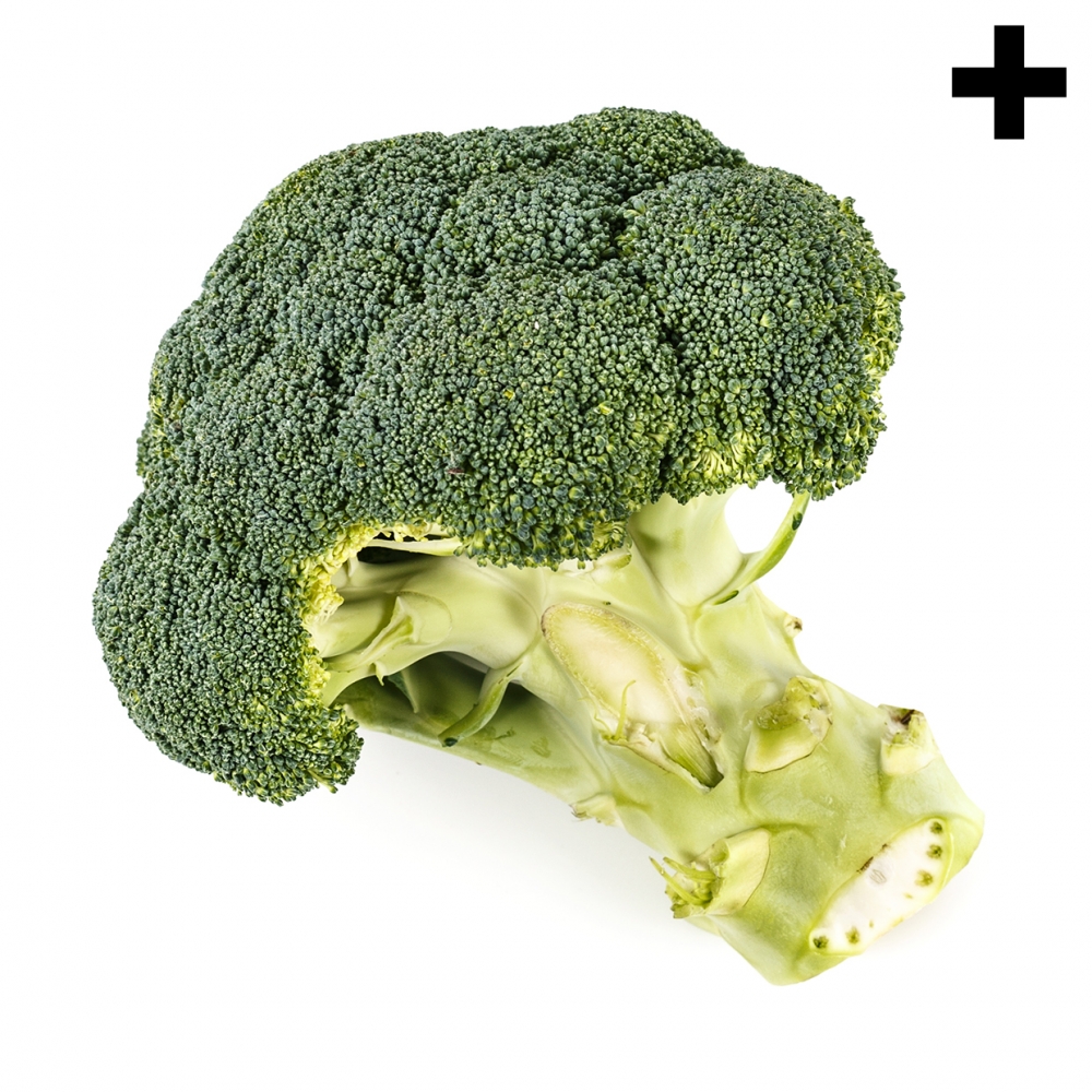 Imagen en la que se ve el plural del concepto brócoli
