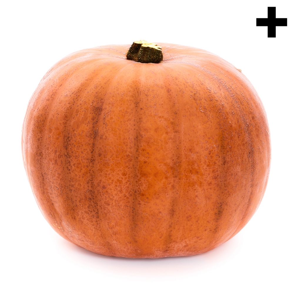 Imagen en la que se ve el plural del concepto calabaza