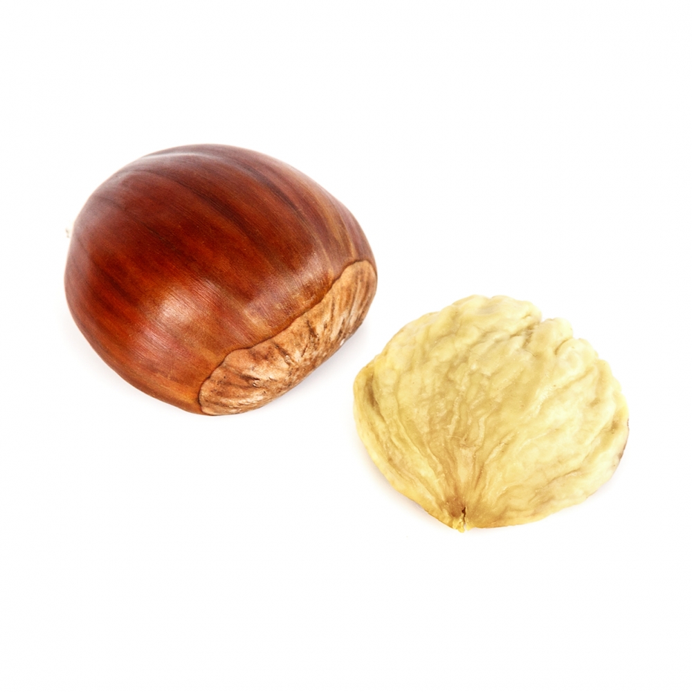 Imagen en la que se ve una castaña