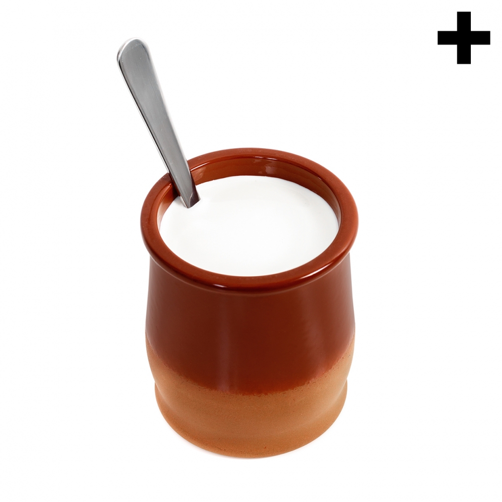 Imagen en la que se ve el plural del concepto cuajada