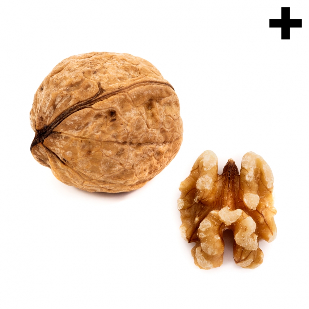 Imagen en la que se ve el plural del concepto nuez