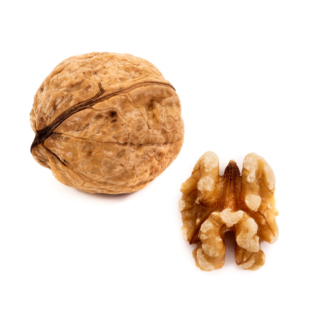 Imagen en la que se ve una nuez