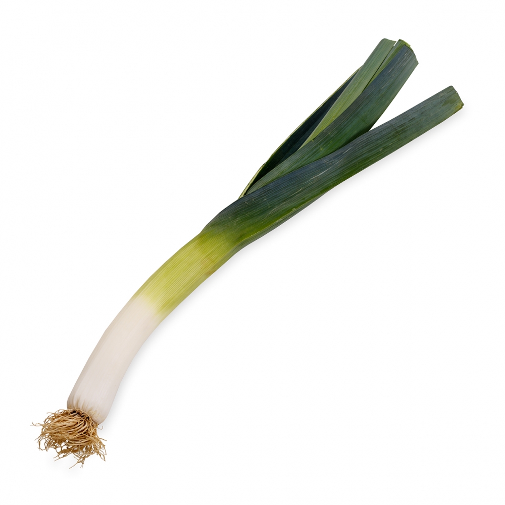 Imagen en la que se ve un puerro