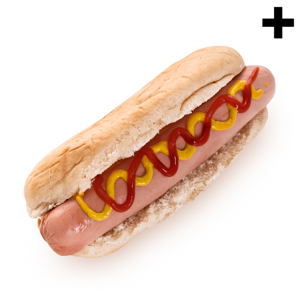 Imagen en la que se ve el plural del concepto perrito caliente