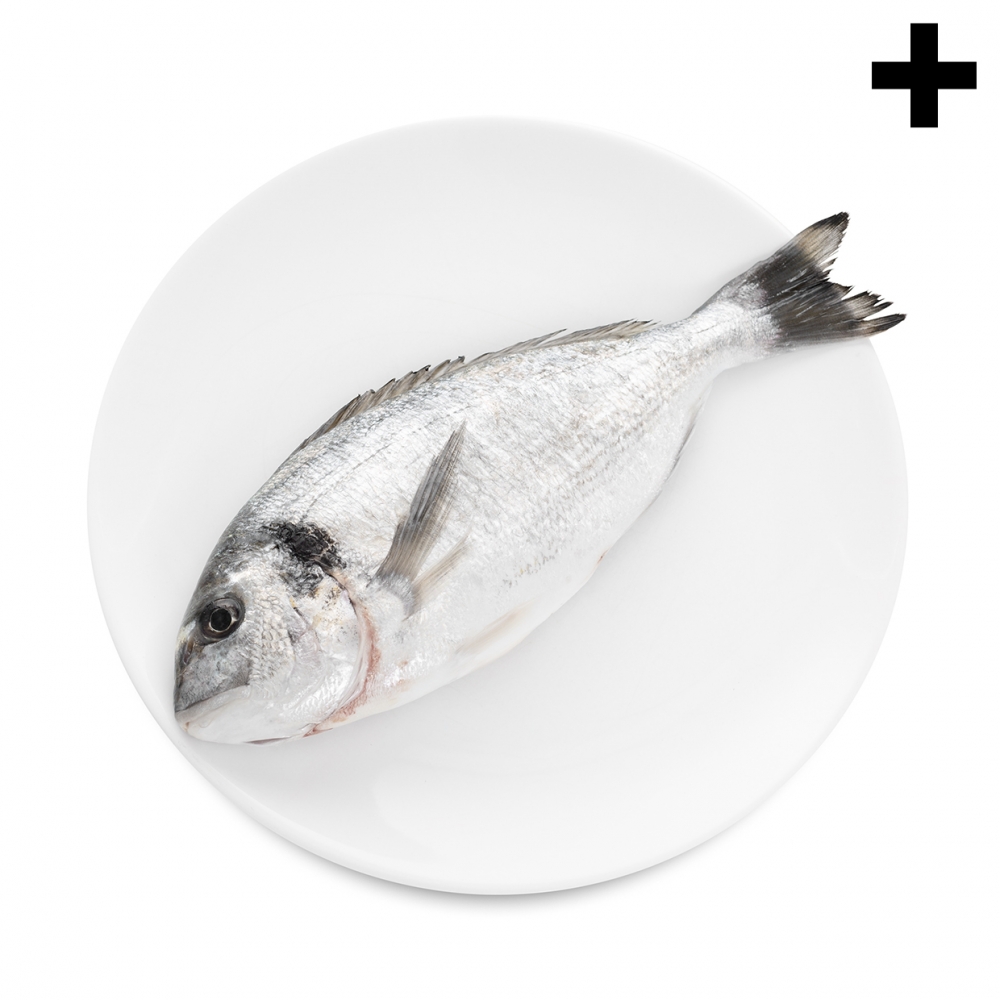 Imagen en la que se ve el plural del concepto dorada