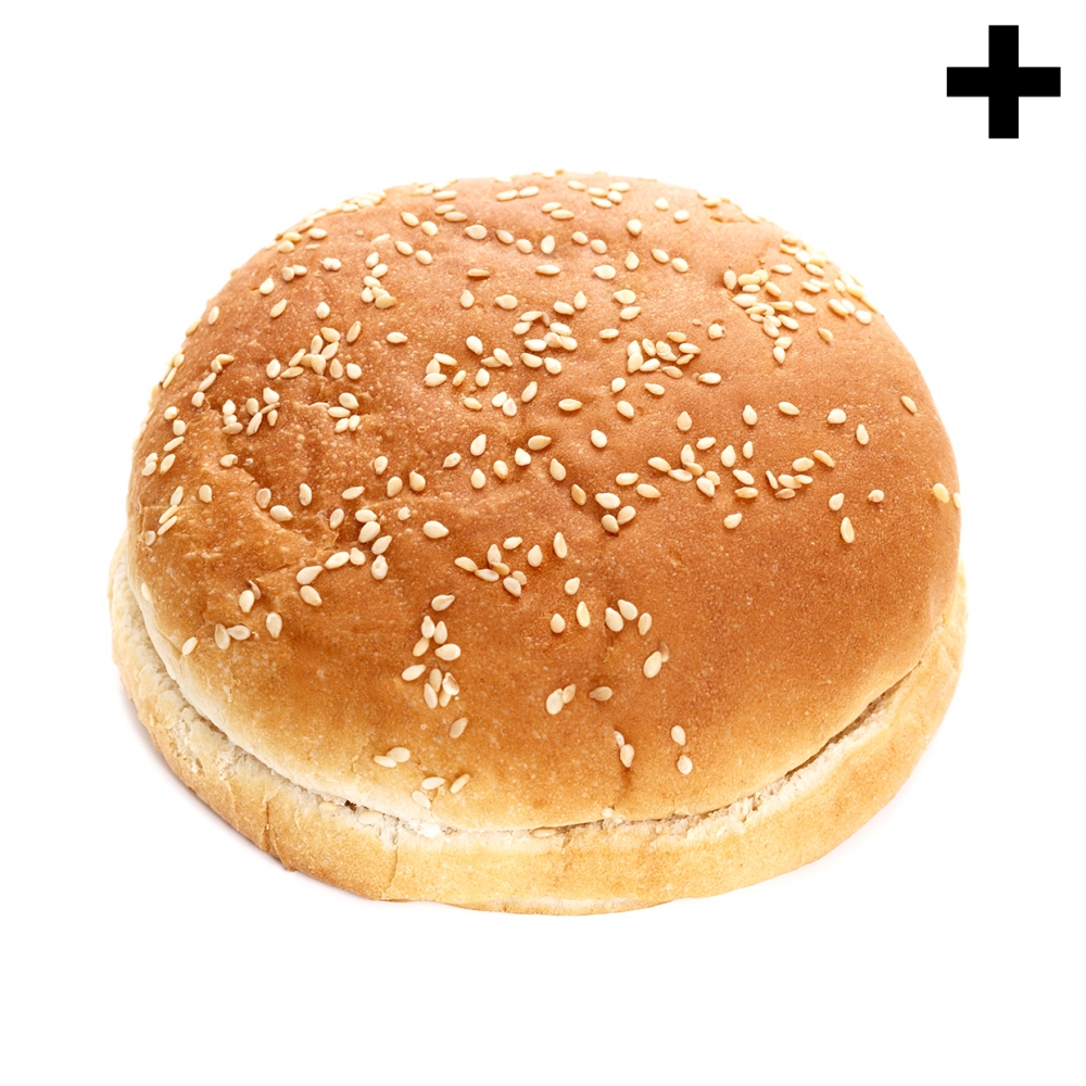 Imagen en la que se ve el plural del concepto pan de hamburguesa