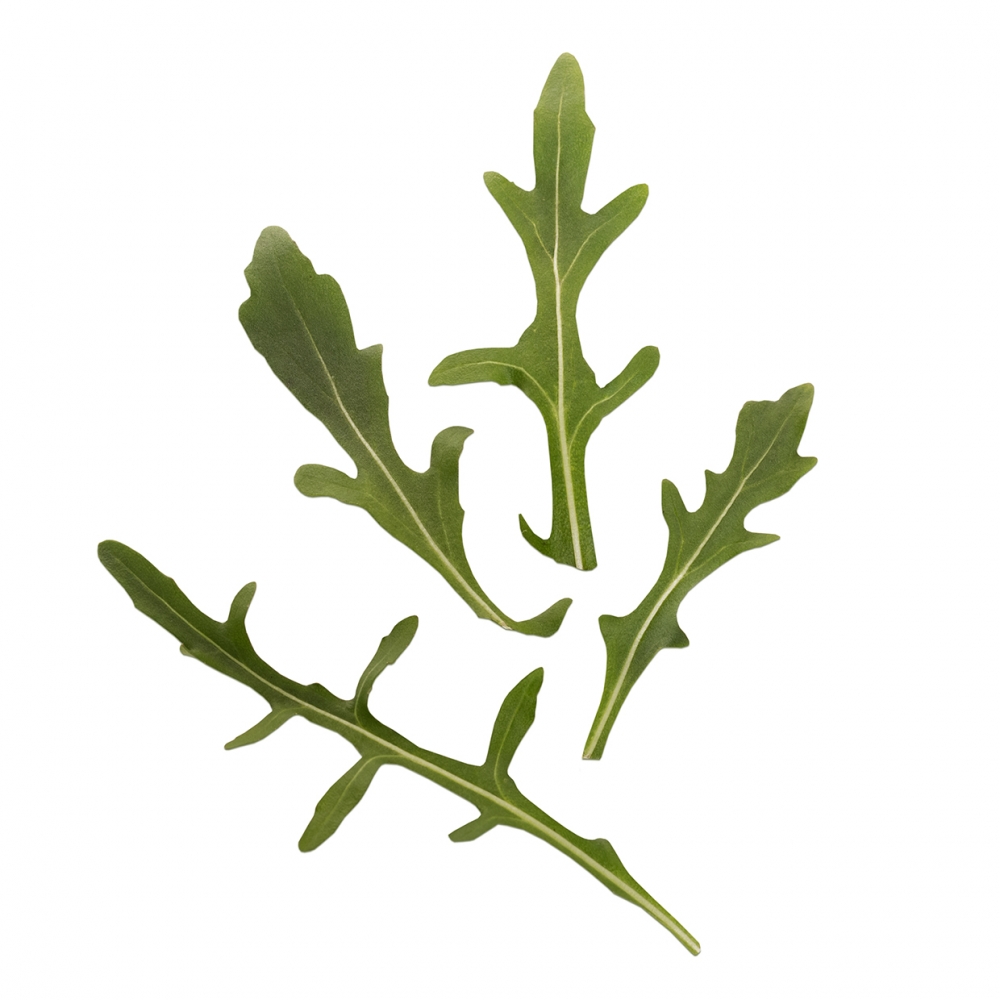 Imagen en la que se ven unas hojas de rúcula