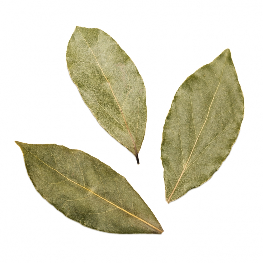 Imagen en la que se ven hojas de laurel