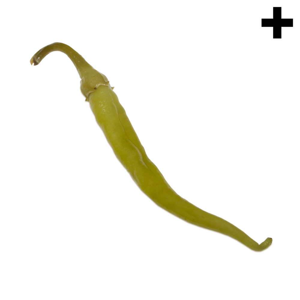 Imagen en la que se ve el plural del concepto guindilla