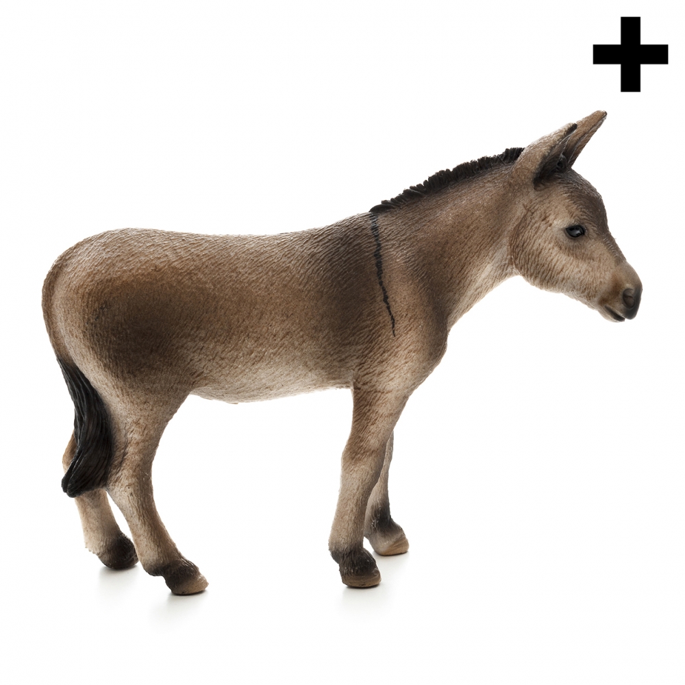 Imagen en la que se ve un burro de perfil