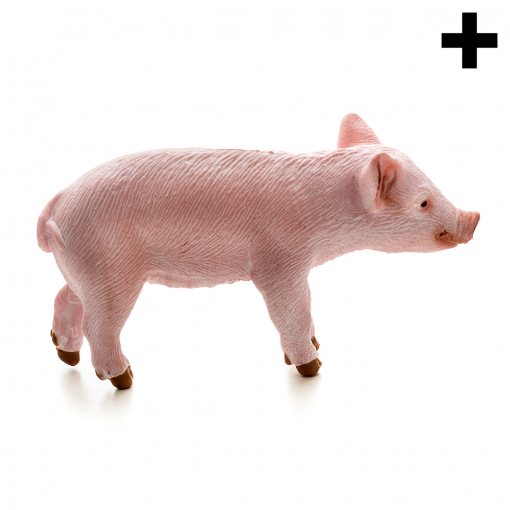 Imagen en la que se un cerdo en perspectiva lateral