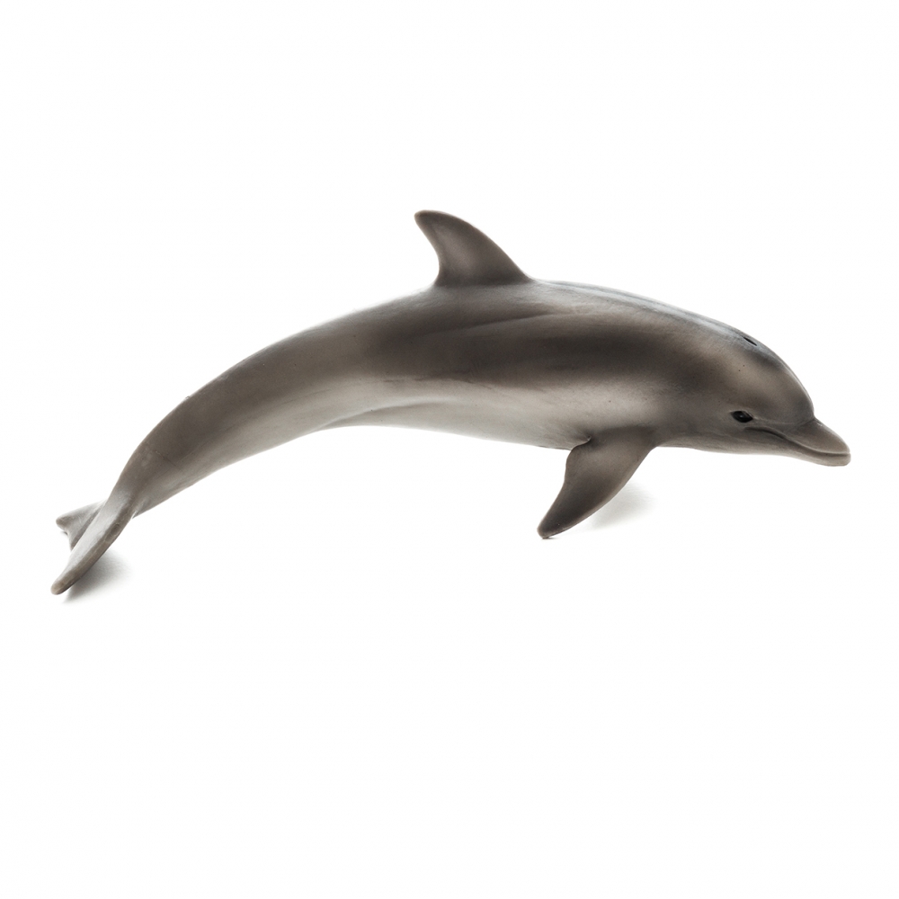 Imagen de un delfín de perfil