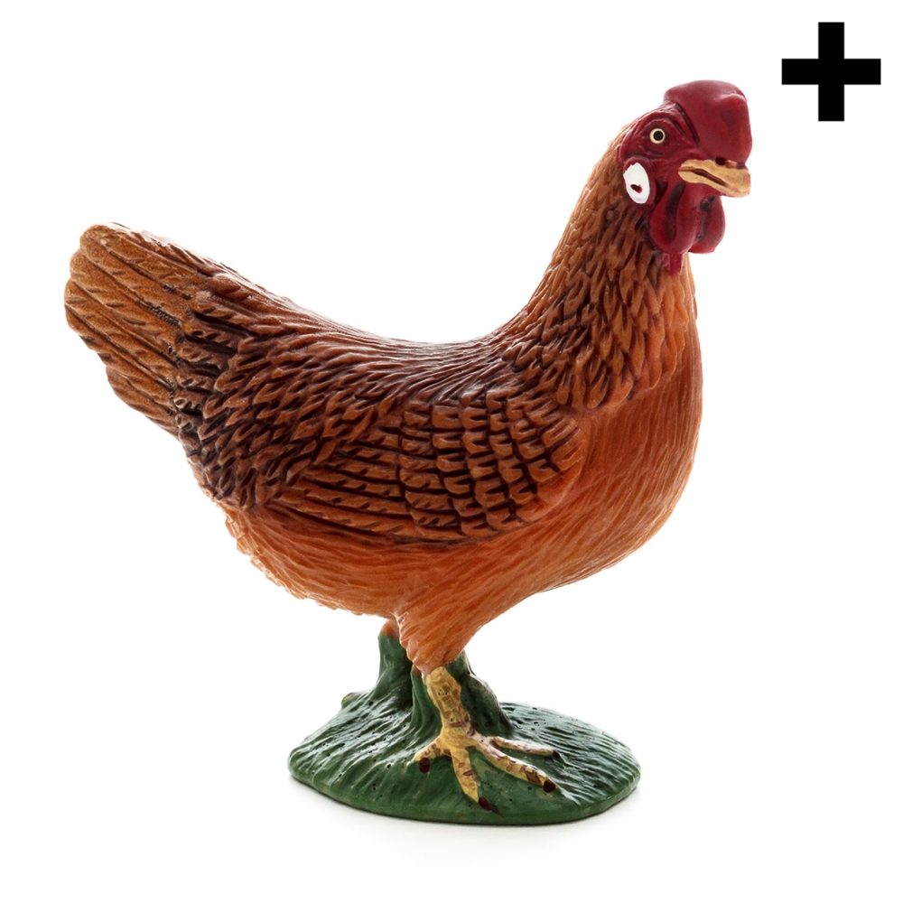 Imagen en la que se ve una gallina en perspectiva lateral