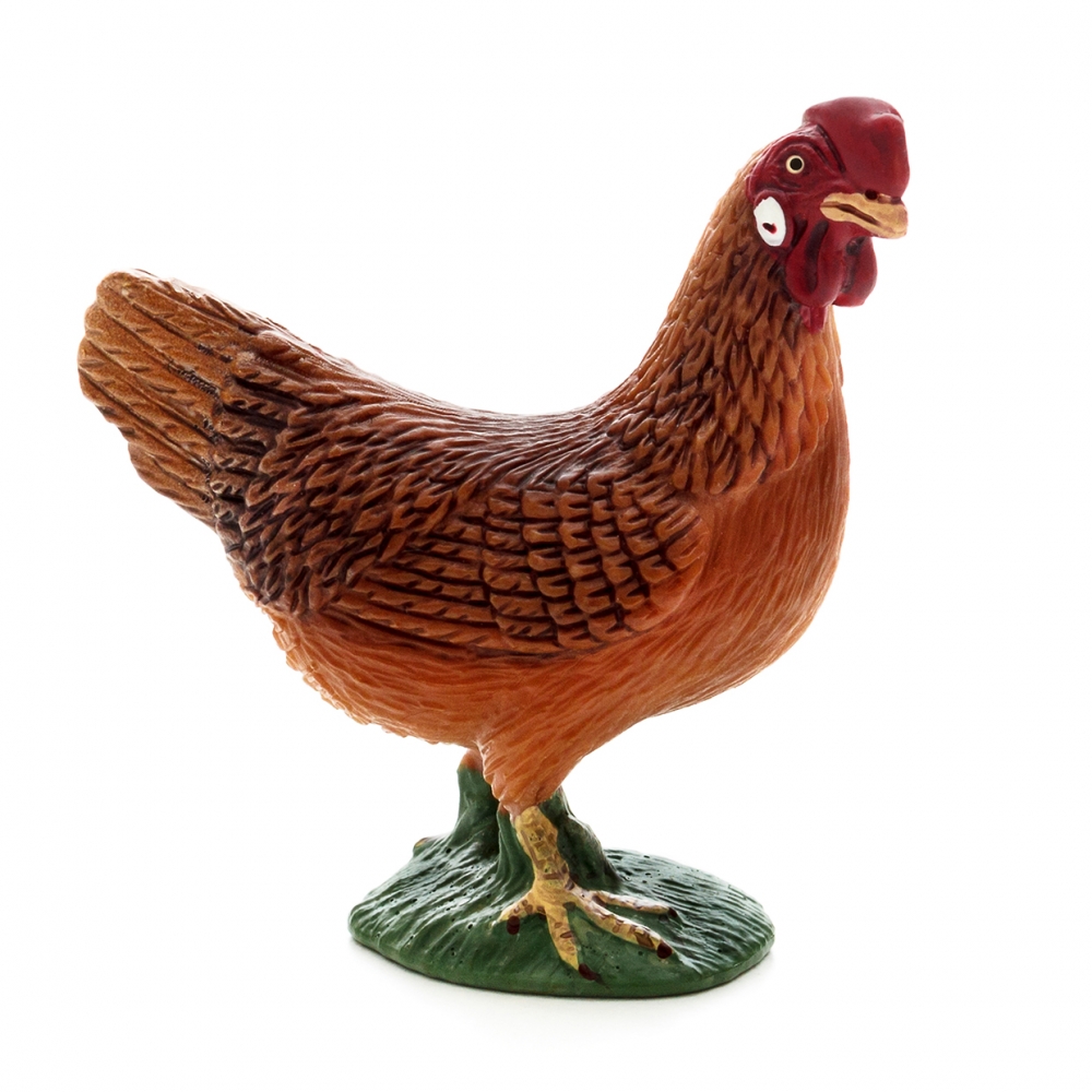 Imagen en la que se ve una gallina en perspectiva lateral