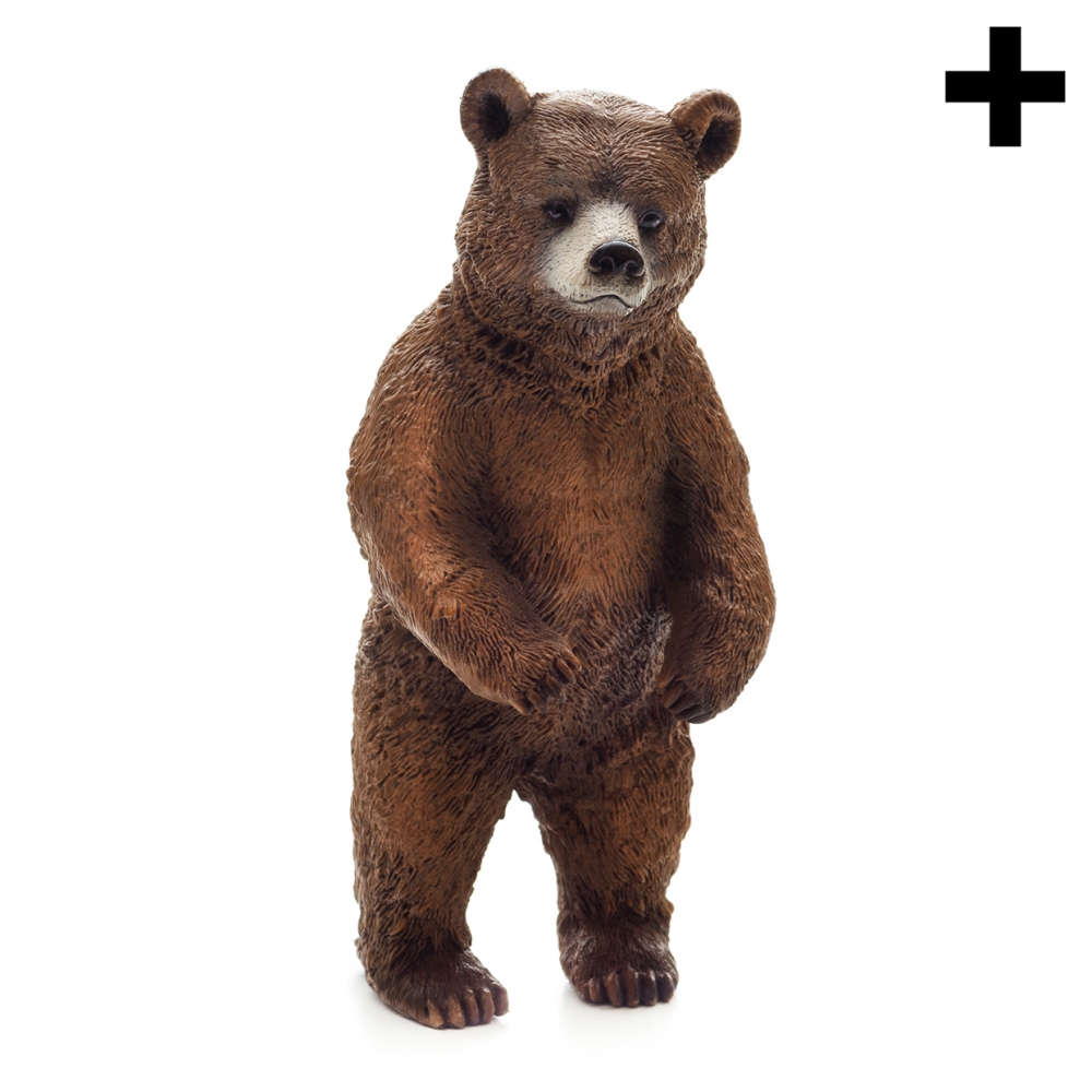 Imagen en la que se ve un oso de pie apoyado sobre sus dos patas traseras