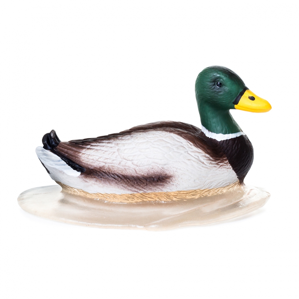 Imagen en la que se ve un pato dentro del agua