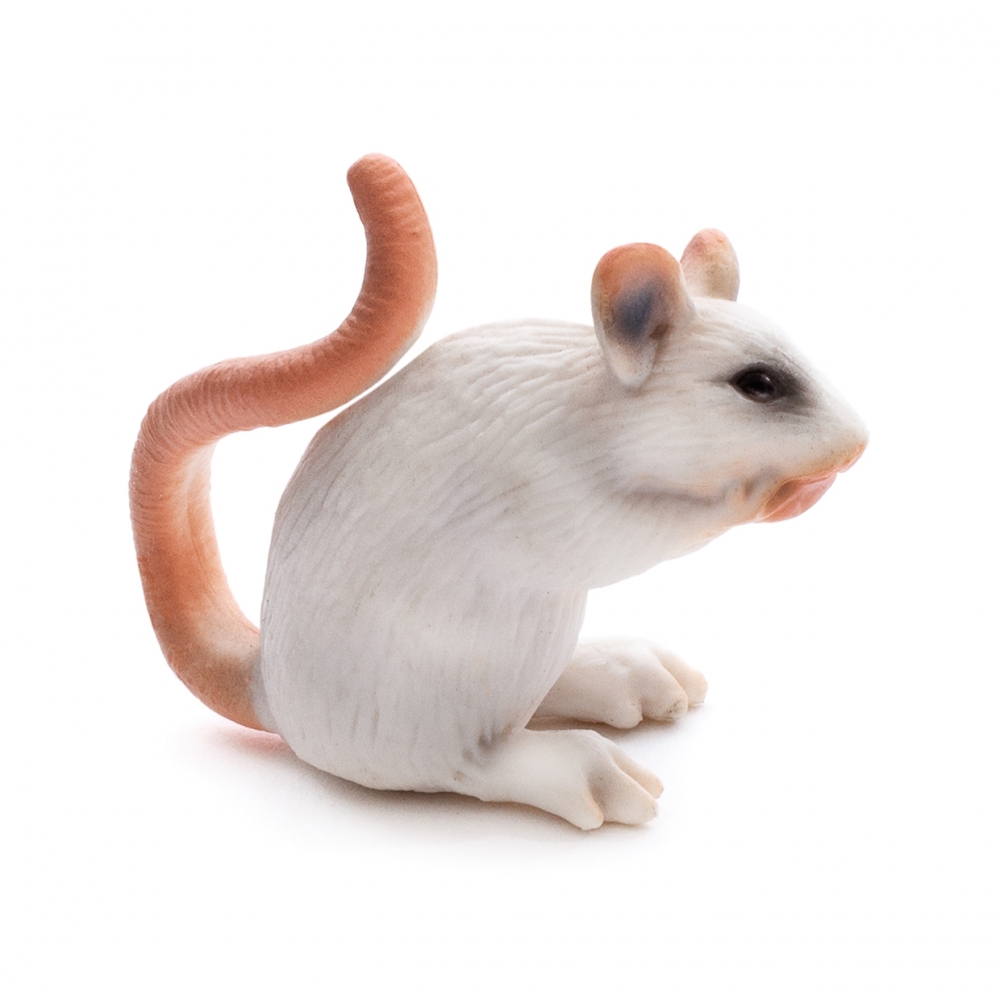 Imagen en la que se ve un ratón en perspectiva lateral