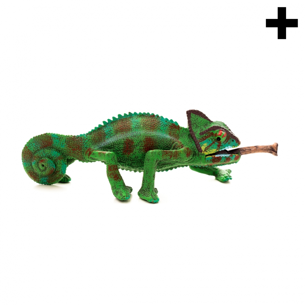 Imagen en la que se ve el plural del concepto camaleón