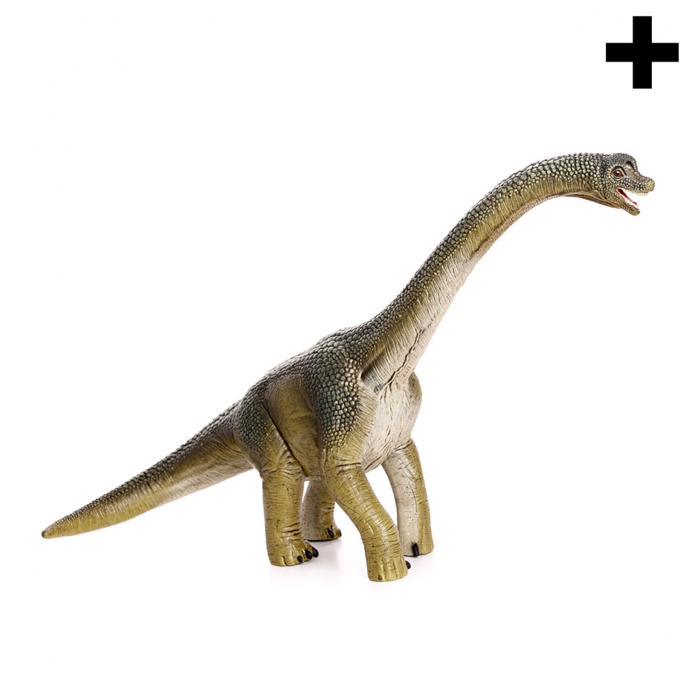 Imagen en la que se ve el plural del concepto diplodocus