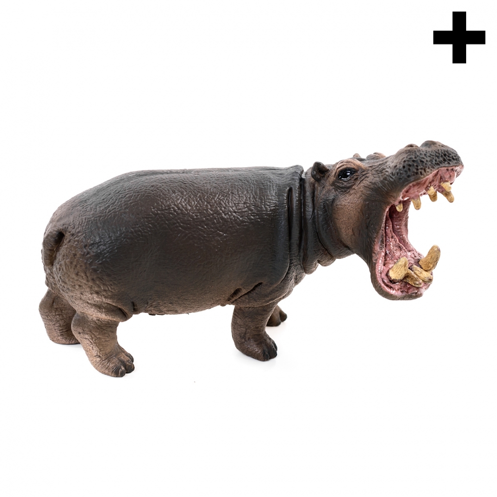 Imagen en la que se ve el plural del concepto hipopótamo