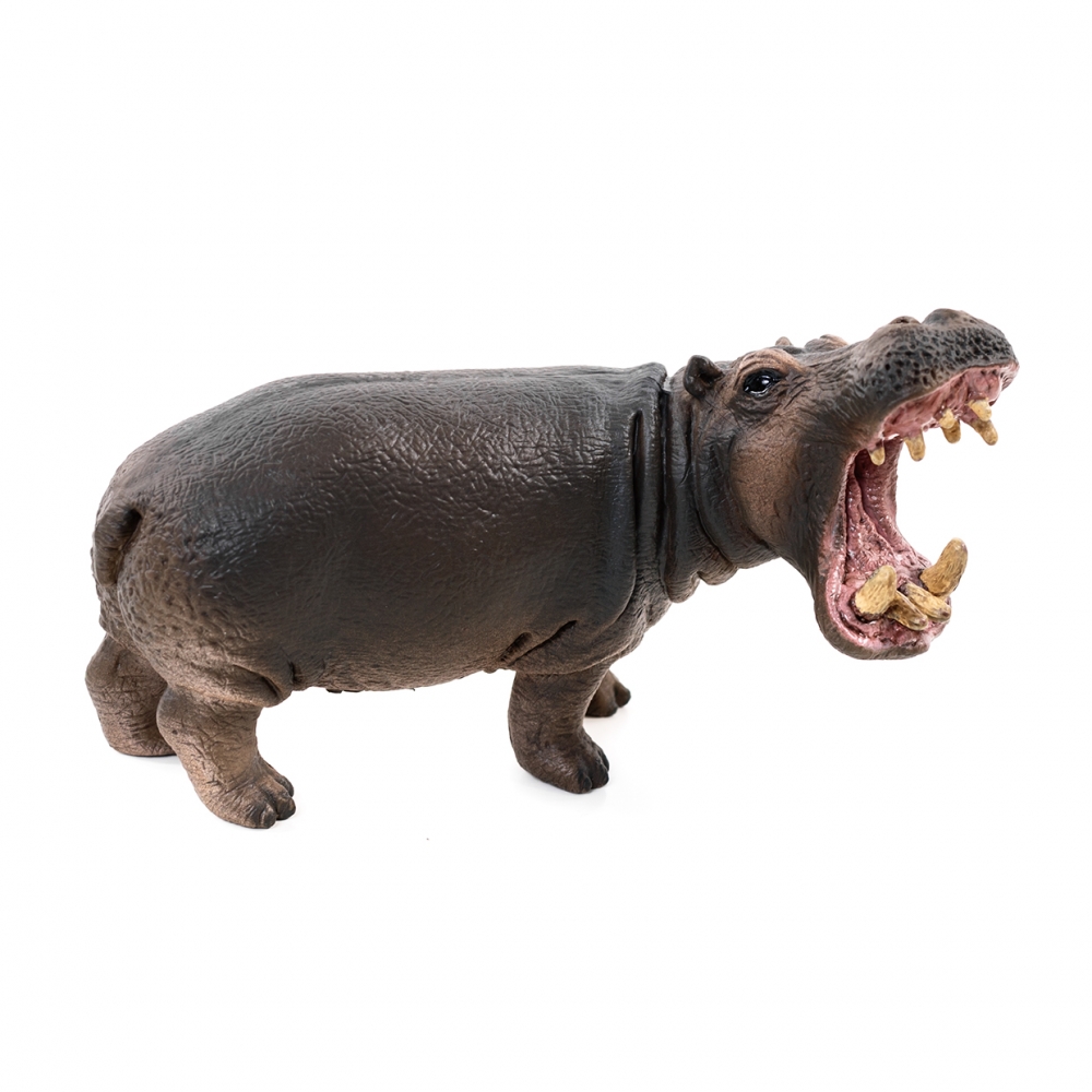 Imagen en la que se ve un hipopótamo