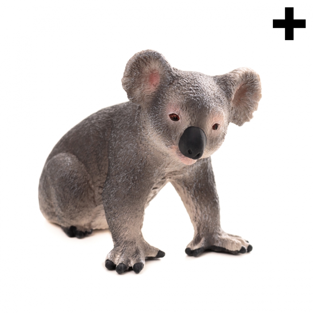 Imagen en la que se ve el plural del concepto koala