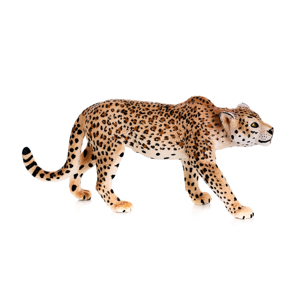 Imagen de un leopardo