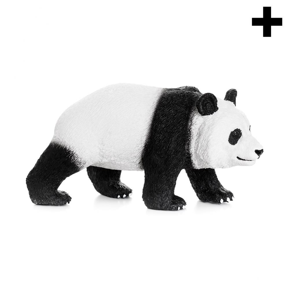 Imagen en la que se ve el plural del concepto oso panda