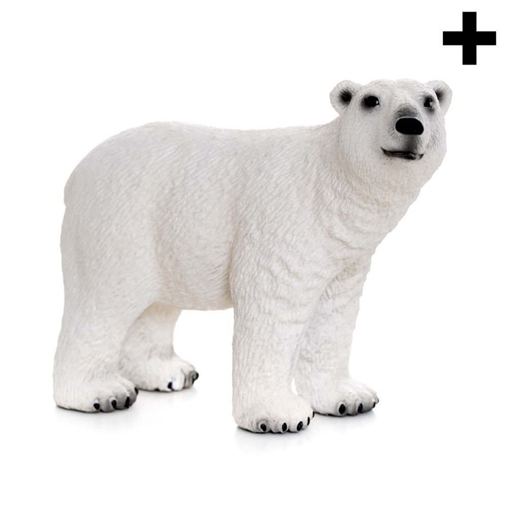 Imagen en la que se ve el plural del concepto oso polar