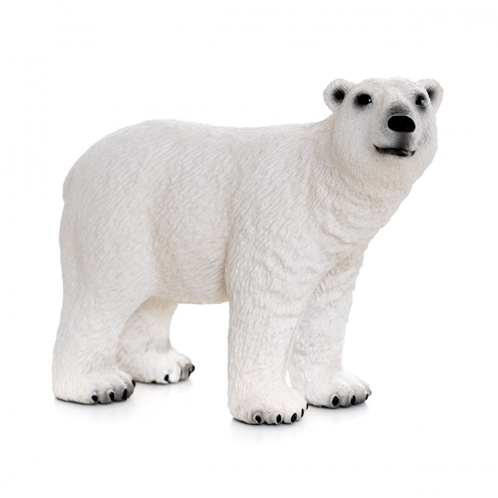 Imagen de un oso polar