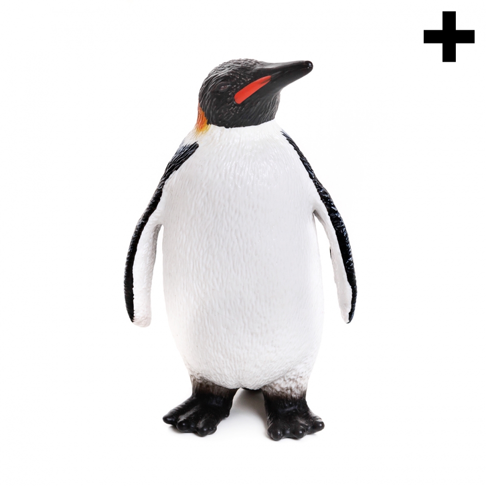 Imagen en la que se ve el plural del concepto pingüino