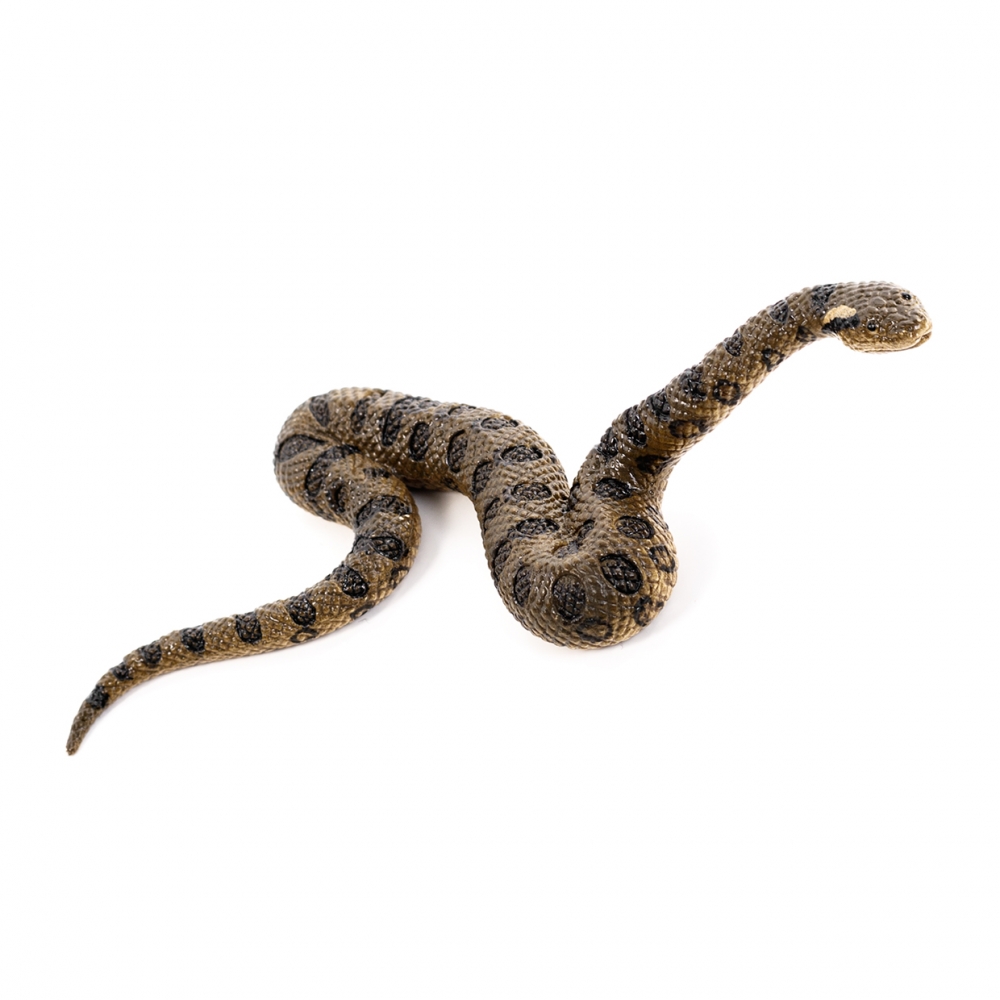 Imagen en la que se ve una serpiente