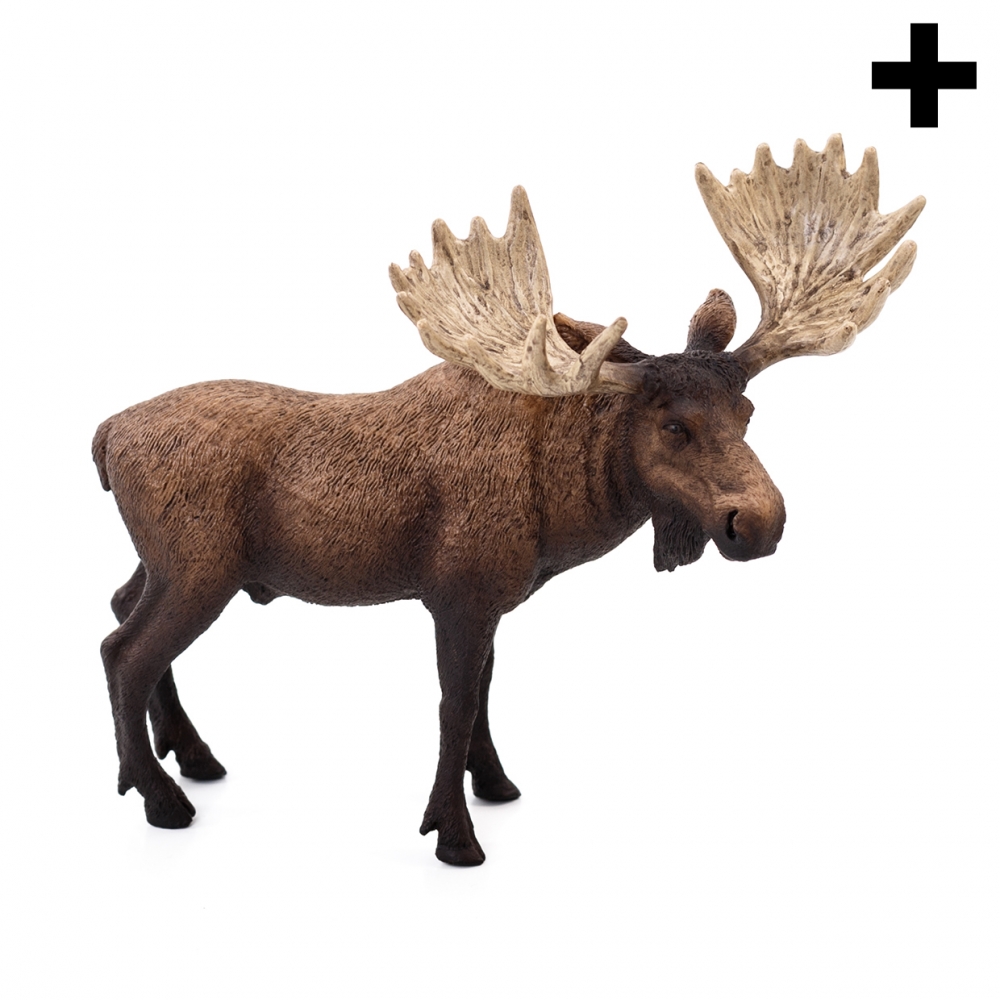 Imagen en la que se ve el plural del concepto alce