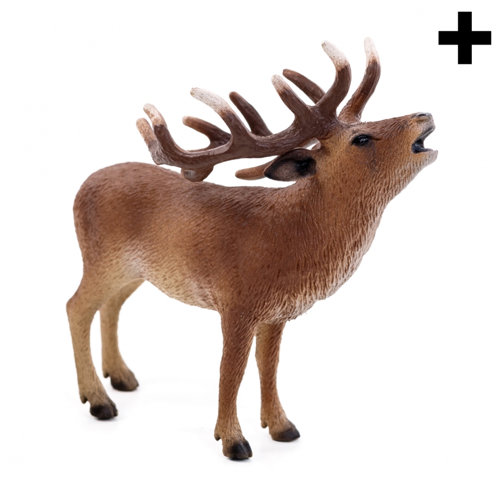 Imagen en la que se ve el plural del concepto ciervo