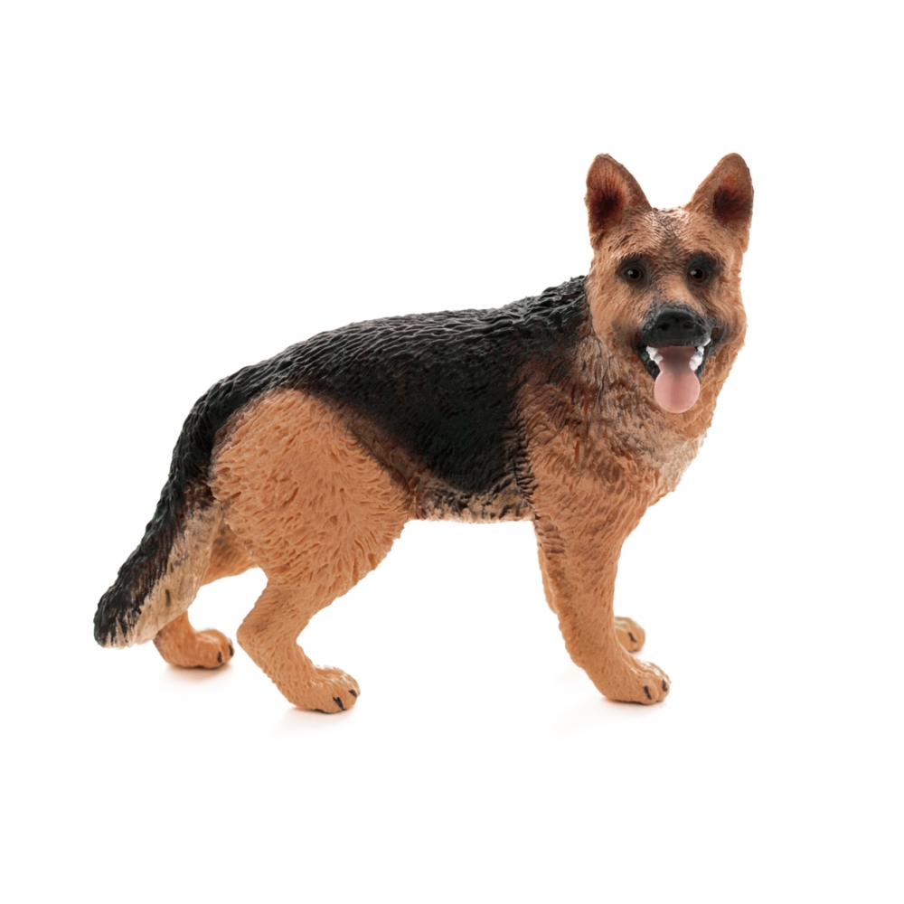 Imagen en la que se ve un pastor alemán