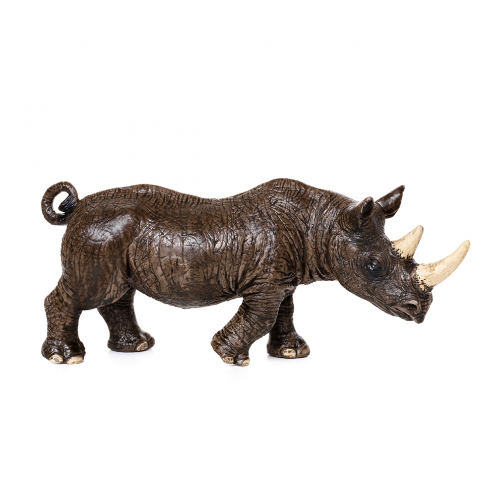 Imagen de un rinoceronte