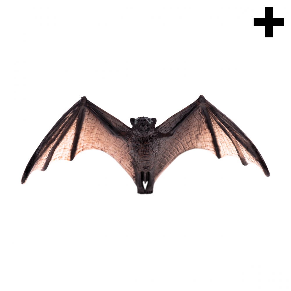 Imagen en la que se ve el plural del concepto murciélago